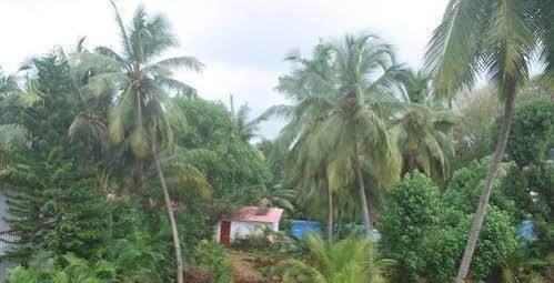 Gabriel Guest House Calangute Extérieur photo